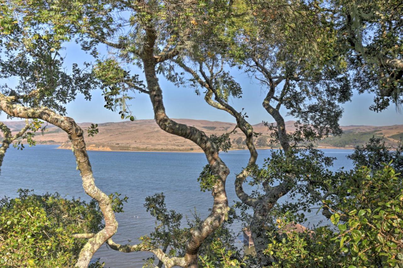 Hillside Home With Deck And Views Of Tomales Bay! Ілвернес Екстер'єр фото